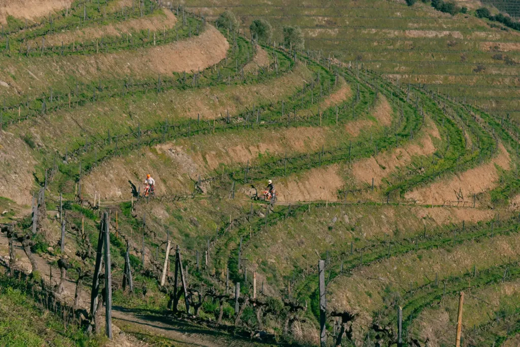 Douro Valley vineyards and landscapes in Portugal